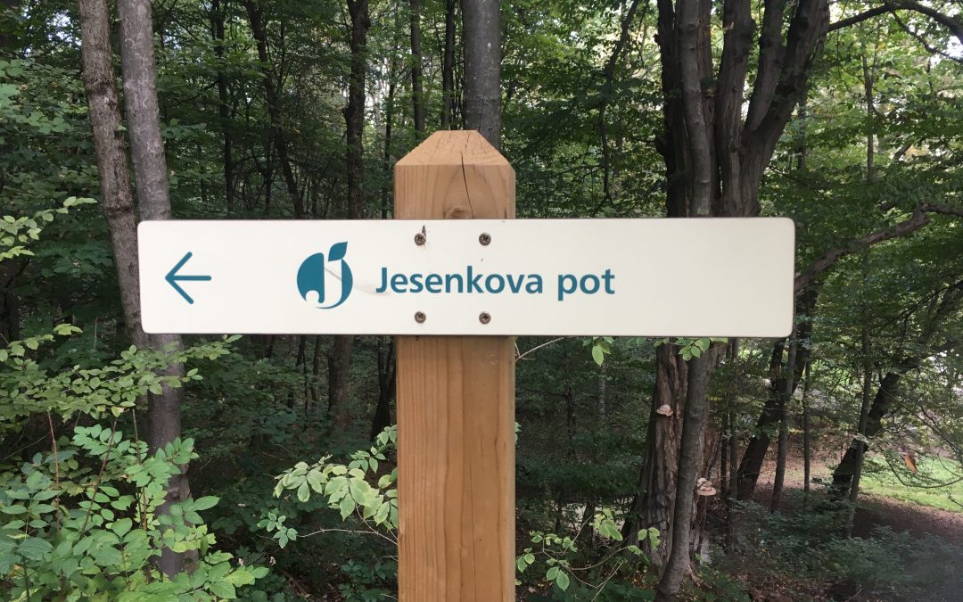 Jesenkova pot