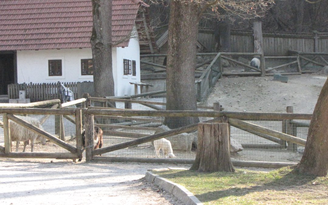 Naravoslovni dan v ZOO Ljubljana