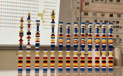 ND: Mikrobiologija in biotehnologija, 9. razred